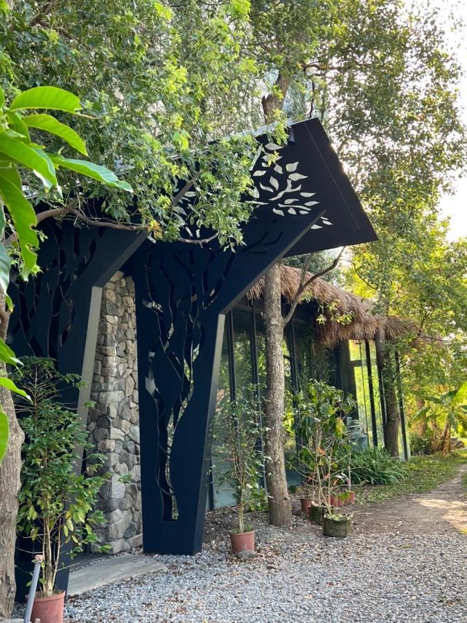 Appartamento La Tree 普椿農場木子莊園 Donghe Esterno foto
