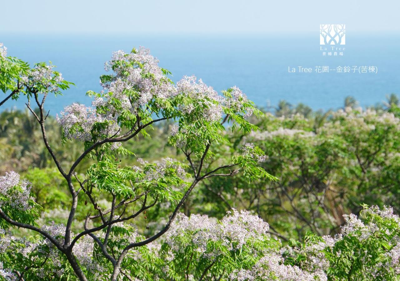 Appartamento La Tree 普椿農場木子莊園 Donghe Esterno foto